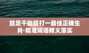 鼓足干劲猜打一最佳正确生肖·精准词语释义落实