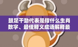 鼓足干劲代表是指什么生肖数字、最佳释义成语解释最佳答