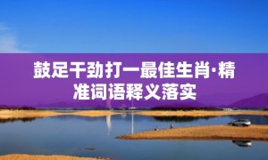 鼓足干劲打一最佳生肖·精准词语释义落实