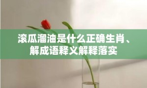 滚瓜溜油是什么正确生肖、解成语释义解释落实