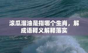 滚瓜溜油是指哪个生肖，解成语释义解释落实