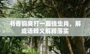 书香铜臭打一最佳生肖，解成语释义解释落实