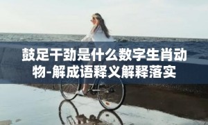 鼓足干劲是什么数字生肖动物-解成语释义解释落实