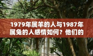 1979年属羊的人与1987年属兔的人感情如何？他们的婚姻相配程度怎样？