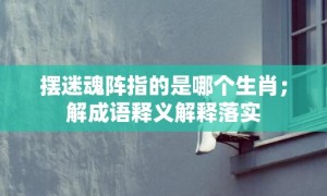 摆迷魂阵指的是哪个生肖；解成语释义解释落实