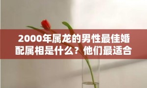 2000年属龙的男性最佳婚配属相是什么？他们最适合与哪个属相的人结婚？