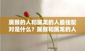 属猴的人和属龙的人最佳配对是什么？属猴和属龙的人是否合得来？