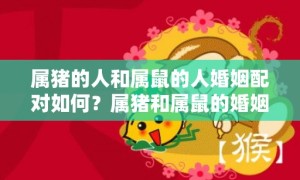 属猪的人和属鼠的人婚姻配对如何？属猪和属鼠的婚姻状况怎样？