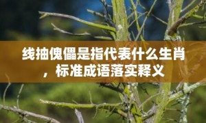 线抽傀儡是指代表什么生肖，标准成语落实释义