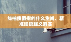 线抽傀儡指的什么生肖、精准词语释义落实