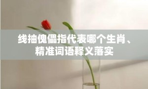 线抽傀儡指代表哪个生肖、精准词语释义落实