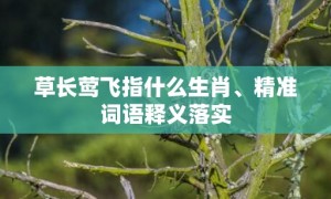 草长莺飞指什么生肖、精准词语释义落实