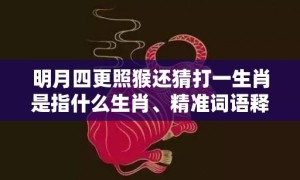 明月四更照猴还猜打一生肖是指什么生肖、精准词语释义落实