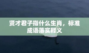 贤才君子指什么生肖，标准成语落实释义