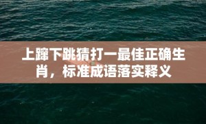 上蹿下跳猜打一最佳正确生肖，标准成语落实释义