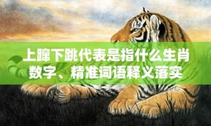 上蹿下跳代表是指什么生肖数字、精准词语释义落实