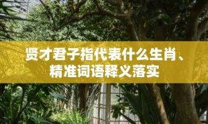 贤才君子指代表什么生肖、精准词语释义落实