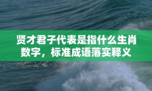 贤才君子代表是指什么生肖数字，标准成语落实释义