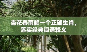 杏花春雨解一个正确生肖，落实经典词语释义