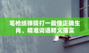 笔枪纸弹猜打一最佳正确生肖、精准词语释义落实