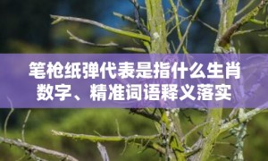 笔枪纸弹代表是指什么生肖数字、精准词语释义落实