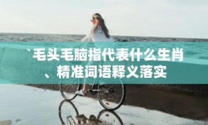 `毛头毛脑指代表什么生肖、精准词语释义落实