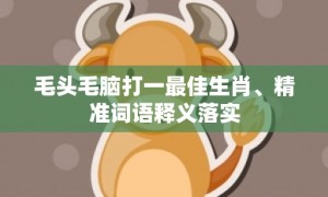 毛头毛脑打一最佳生肖、精准词语释义落实