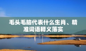 毛头毛脑代表什么生肖、精准词语释义落实