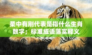 柔中有刚代表是指什么生肖数字；标准成语落实释义