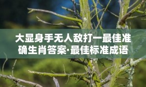 大显身手无人敌打一最佳准确生肖答案·最佳标准成语落实释义