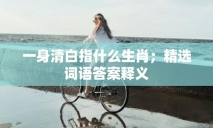 一身清白指什么生肖；精选词语答案释义