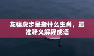 龙骧虎步是指什么生肖，最准释义解释成语