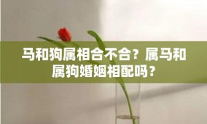 马和狗属相合不合？属马和属狗婚姻相配吗？