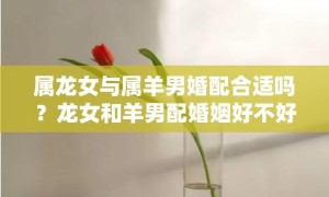 属龙女与属羊男婚配合适吗？龙女和羊男配婚姻好不好？