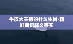 牛皮大王指的什么生肖·精准词语释义落实