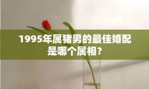 1995年属猪男的最佳婚配是哪个属相？