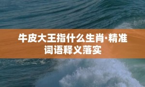 牛皮大王指什么生肖·精准词语释义落实