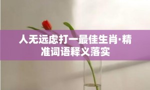 人无远虑打一最佳生肖·精准词语释义落实