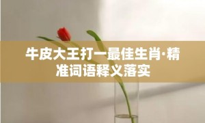 牛皮大王打一最佳生肖·精准词语释义落实