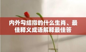 内外勾结指的什么生肖、最佳释义成语解释最佳答