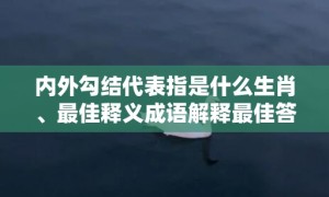 内外勾结代表指是什么生肖、最佳释义成语解释最佳答