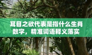 耳目之欲代表是指什么生肖数字，精准词语释义落实