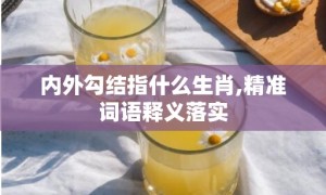 内外勾结指什么生肖,精准词语释义落实