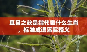 耳目之欲是指代表什么生肖，标准成语落实释义