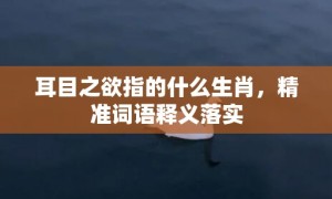 耳目之欲指的什么生肖，精准词语释义落实