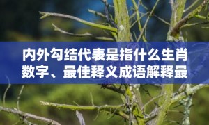 内外勾结代表是指什么生肖数字、最佳释义成语解释最佳答