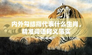 内外勾结指代表什么生肖，精准词语释义落实