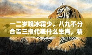 一二岁晚冰霜少，八九不分合吉三指代表什么生肖，精准词语释义落实