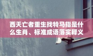 西天亡者重生找特马指是什么生肖、标准成语落实释义