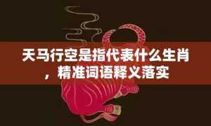 天马行空是指代表什么生肖，精准词语释义落实